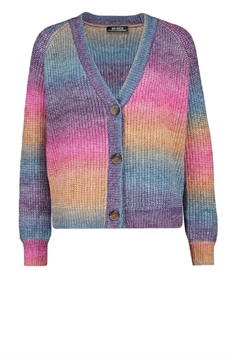 Be nice Vest Ap65