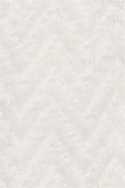 Esqualo Shirt W24.15708