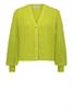 In shape Vest Indi